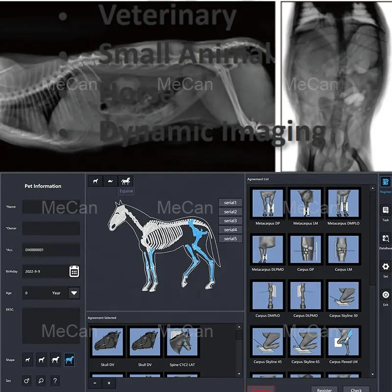 Portable X-ray Medical Digtal Veterinary Dr Xray Equipment