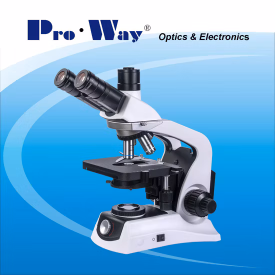 Professional LED Seidentopf Binocular Biological Microscope for Laboratory (XSZ-PW208)